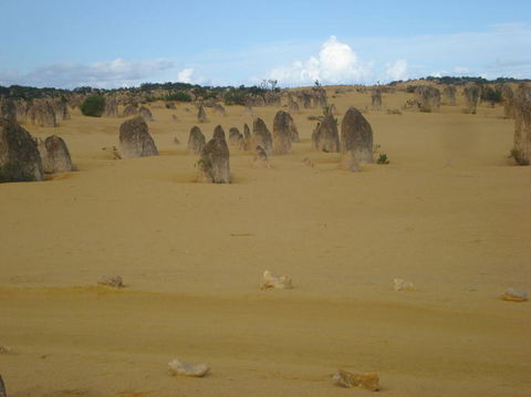 Pinnacles Desert, Koalas And Sandboarding 4WD Day Tour From Perth - Sunshine Coast Tourism 23