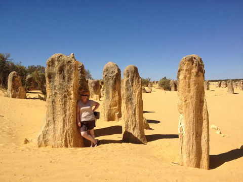 Pinnacles Desert, Koalas And Sandboarding 4WD Day Tour From Perth - Sunshine Coast Tourism 17