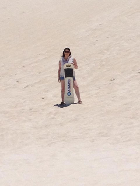 Pinnacles Desert, Koalas And Sandboarding 4WD Day Tour From Perth - Sunshine Coast Tourism 21