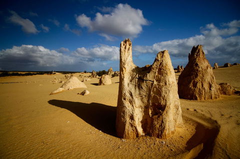 Pinnacles Desert, Koalas And Sandboarding 4WD Day Tour From Perth - Sunshine Coast Tourism 6