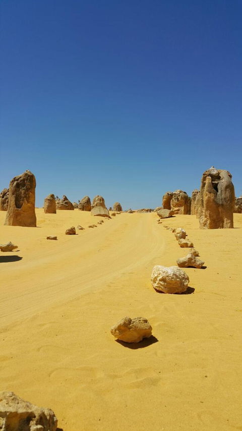Pinnacles Desert, Koalas And Sandboarding 4WD Day Tour From Perth - Sunshine Coast Tourism 3