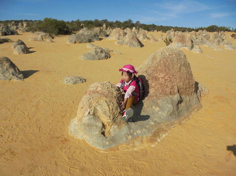 Pinnacles Desert, Koalas And Sandboarding 4WD Day Tour From Perth - Sunshine Coast Tourism 7