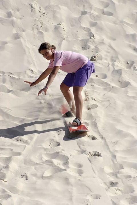 Pinnacles Desert, Koalas And Sandboarding 4WD Day Tour From Perth - Sunshine Coast Tourism 24