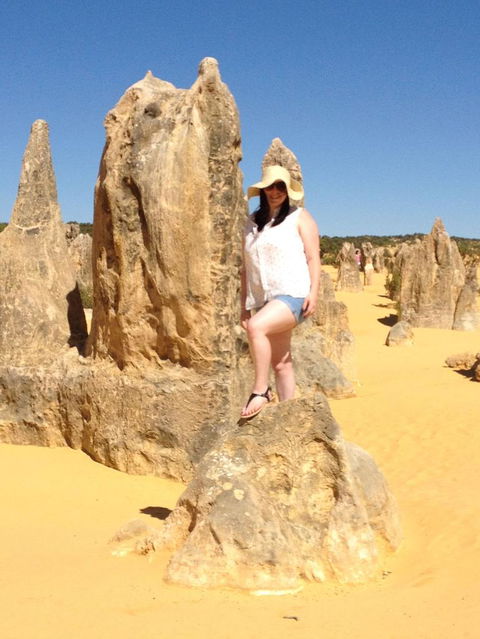 Pinnacles Desert, Koalas And Sandboarding 4WD Day Tour From Perth - Sunshine Coast Tourism 16