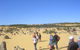 Pinnacles Desert, Koalas And Sandboarding 4WD Day Tour From Perth - thumb 25