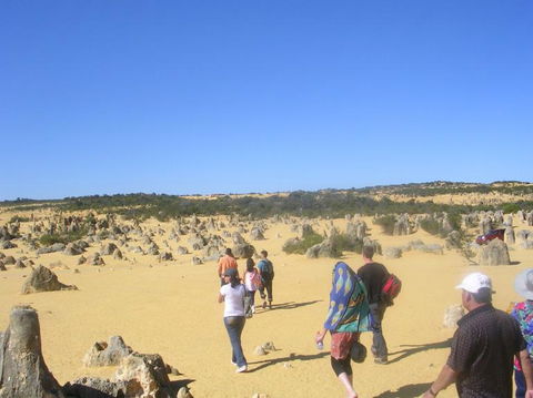 Pinnacles Desert, Koalas And Sandboarding 4WD Day Tour From Perth - Sunshine Coast Tourism 25