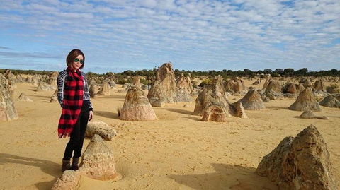 Pinnacles Desert, Koalas And Sandboarding 4WD Day Tour From Perth - Sunshine Coast Tourism 13