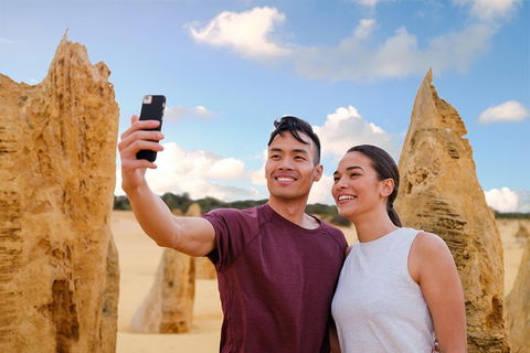 Pinnacles Desert, Koalas And Sandboarding 4WD Day Tour From Perth - Sunshine Coast Tourism 1