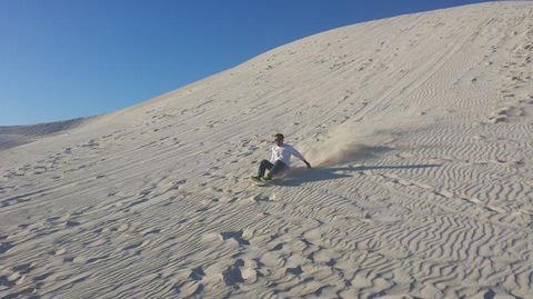 Pinnacles Desert, Koalas And Sandboarding 4WD Day Tour From Perth - Sunshine Coast Tourism 14