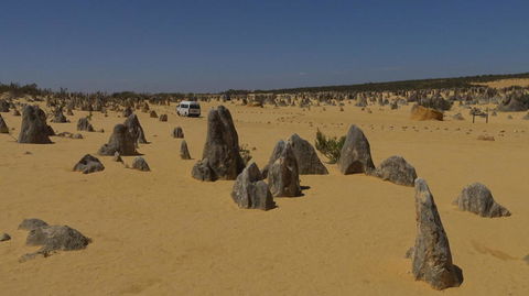 Pinnacles Desert, Koalas And Sandboarding 4WD Day Tour From Perth - Sunshine Coast Tourism 4
