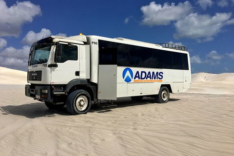 Pinnacles Desert, Koalas And Sandboarding 4WD Day Tour From Perth - Sunshine Coast Tourism 28
