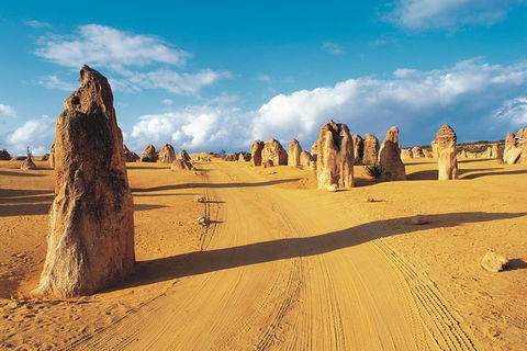 Pinnacles Desert, Koalas And Sandboarding 4WD Day Tour From Perth - Sunshine Coast Tourism 26
