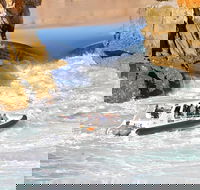 Horizontal Falls Half-Day Tour from Broome - Sunshine Coast Tourism