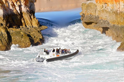 Horizontal Falls Half-Day Tour From Broome - Sunshine Coast Tourism 0