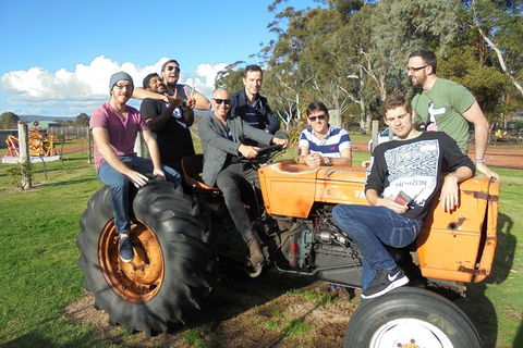 1/2 Day Swan Valley Wine Cheese & Chocolate Tour Inc Afternoon Cruise To Perth - Holiday Sunshine Coast 8