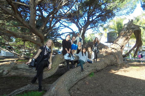 1/2 Day Swan Valley Wine Cheese & Chocolate Tour Inc Afternoon Cruise To Perth - Holiday Sunshine Coast 10