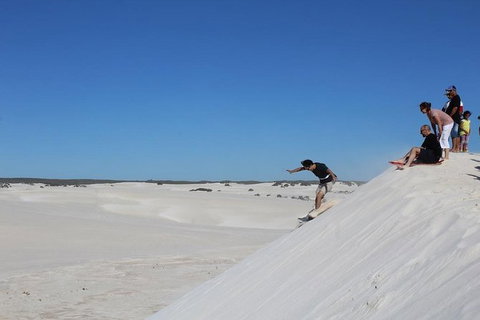 Pinnacles And Yanchep National Park Day Trip From Perth Including Lobster Shack Lunch And Sandboarding - Holiday Sunshine Coast 4