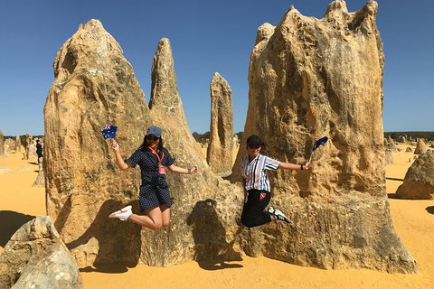 Pinnacles And Yanchep National Park Day Trip From Perth Including Lobster Shack Lunch And Sandboarding - Holiday Sunshine Coast 2