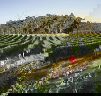 Margaret River Caves Wine and Cape Leeuwin Lighthouse Tour from Perth - Sunshine Coast Tourism