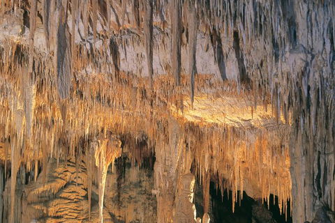 Margaret River, Caves, Wine And Cape Leeuwin Lighthouse Tour From Perth - Sunshine Coast Tourism 27