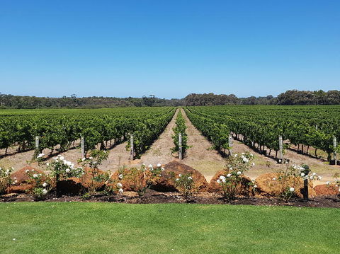 Margaret River Food, Wine & Sightseeing Tour From Perth - Sunshine Coast Tourism 5