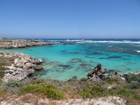 Rottnest Island Tour From Perth Or Fremantle Including Adventure Speed Boat Ride - Sunshine Coast Tourism 3