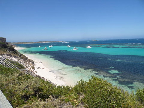 Rottnest Island Tour From Perth Or Fremantle Including Adventure Speed Boat Ride - Sunshine Coast Tourism 2