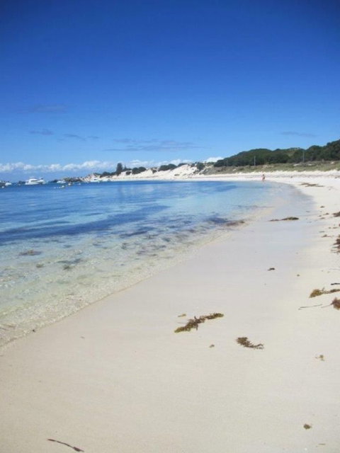 Rottnest Island Tour From Perth Or Fremantle Including Adventure Speed Boat Ride - Sunshine Coast Tourism 4