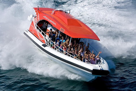 Rottnest Island Tour From Perth Or Fremantle Including Adventure Speed Boat Ride - Sunshine Coast Tourism 11