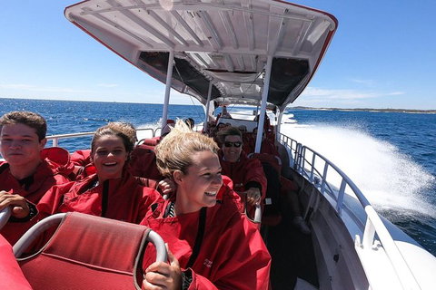 Rottnest Island Tour From Perth Or Fremantle Including Adventure Speed Boat Ride - Sunshine Coast Tourism 8