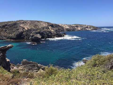 Rottnest Island Tour From Perth Or Fremantle Including Bus Tour - Sunshine Coast Tourism 3