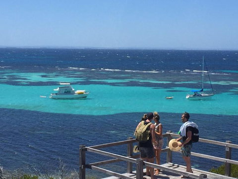 Rottnest Island Tour From Perth Or Fremantle Including Bus Tour - Sunshine Coast Tourism 4
