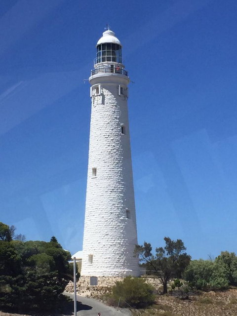 Rottnest Island Tour From Perth Or Fremantle Including Bus Tour - Sunshine Coast Tourism 2