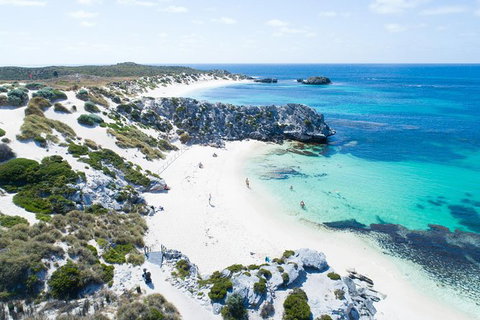 Rottnest Island Tour From Perth Or Fremantle Including Bus Tour - Sunshine Coast Tourism 1