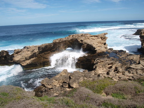 Rottnest Island Tour From Perth Or Fremantle Including Bus Tour - Sunshine Coast Tourism 5