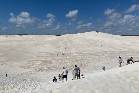 Pinnacles Day Trip From Perth Including Yanchep National Park - Sunshine Coast Tourism 3