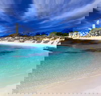 Rottnest Island Grand Tour Including Lunch and Historical Train Ride - Sunshine Coast Tourism