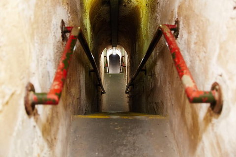 Rottnest Island Grand Tour Including Lunch And Historical Train Ride - Sunshine Coast Tourism 3