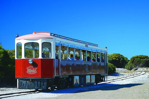 Rottnest Island Grand Tour Including Lunch And Historical Train Ride - Sunshine Coast Tourism 6