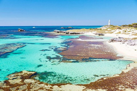 Fremantle To Rottnest Island Roundtrip Ferry Ticket - Sunshine Coast Tourism 1