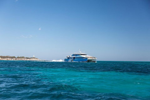 Fremantle To Rottnest Island Roundtrip Ferry Ticket - Sunshine Coast Tourism 6