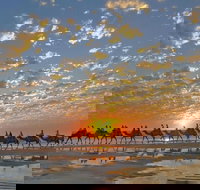 1 Hour Broome Sunset Camel Tour - Sunshine Coast Tourism