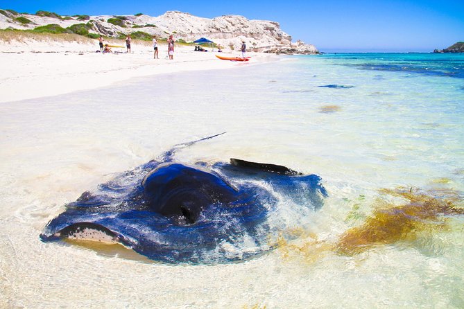 Margaret River WA Sunshine Coast Tourism