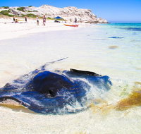 Private Custom Margaret River Tour - Sunshine Coast Tourism