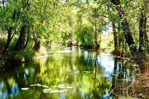 Gorgeous Gorges Tour - Windjana & Bell Gorge, Mt Hart, Cape Leveque - Sunshine Coast Tourism 8
