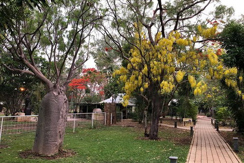 Gorgeous Gorges Tour - Windjana & Bell Gorge, Mt Hart, Cape Leveque - Sunshine Coast Tourism 10