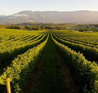 Half-Day Swan Valley Walk  Fruit Orchard - Sunshine Coast Tourism