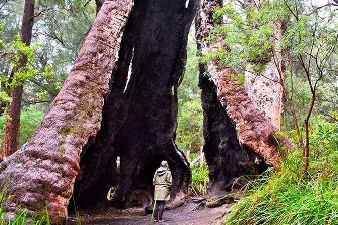 Day Trip Weston ACT Sunshine Coast Tourism