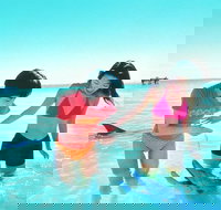 Monkey Mia Dolphins  Shark Bay Air Tour From Perth - Sunshine Coast Tourism