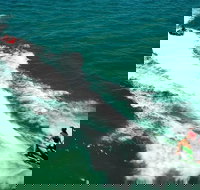 Geraldton Tubing Experience - Sunshine Coast Tourism